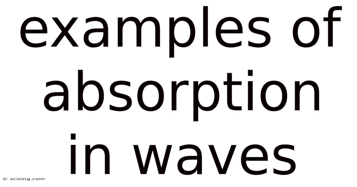 Examples Of Absorption In Waves