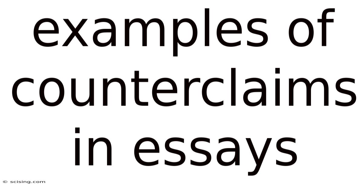 Examples Of Counterclaims In Essays