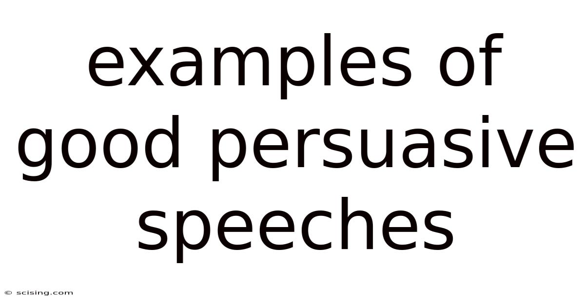 Examples Of Good Persuasive Speeches
