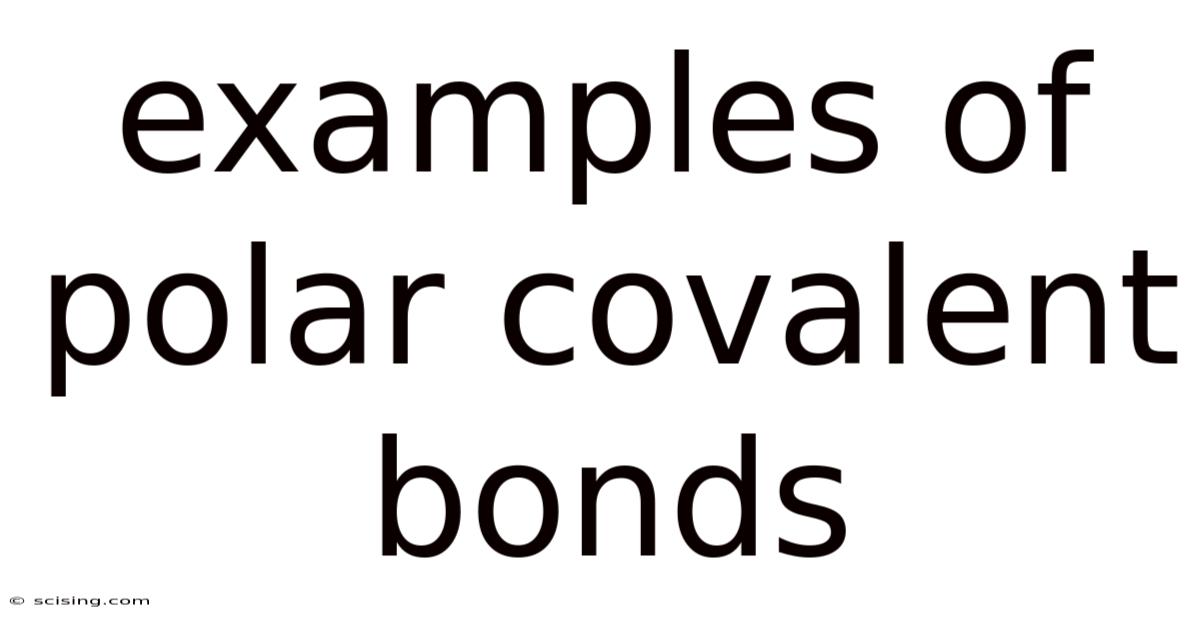 Examples Of Polar Covalent Bonds