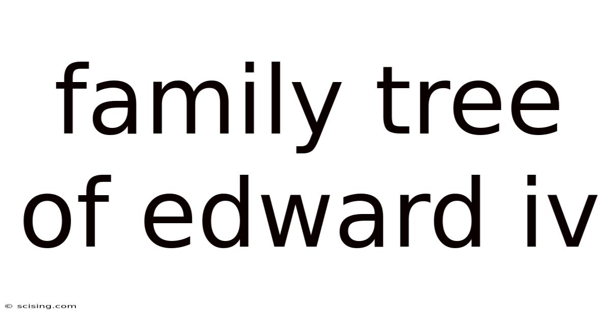 Family Tree Of Edward Iv
