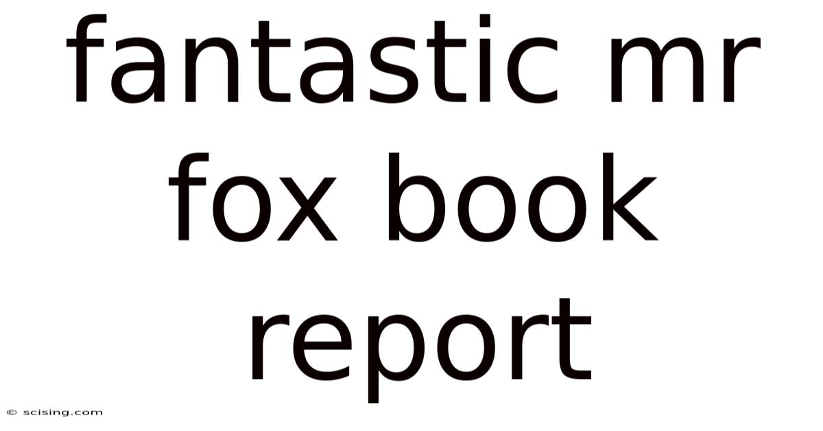 Fantastic Mr Fox Book Report
