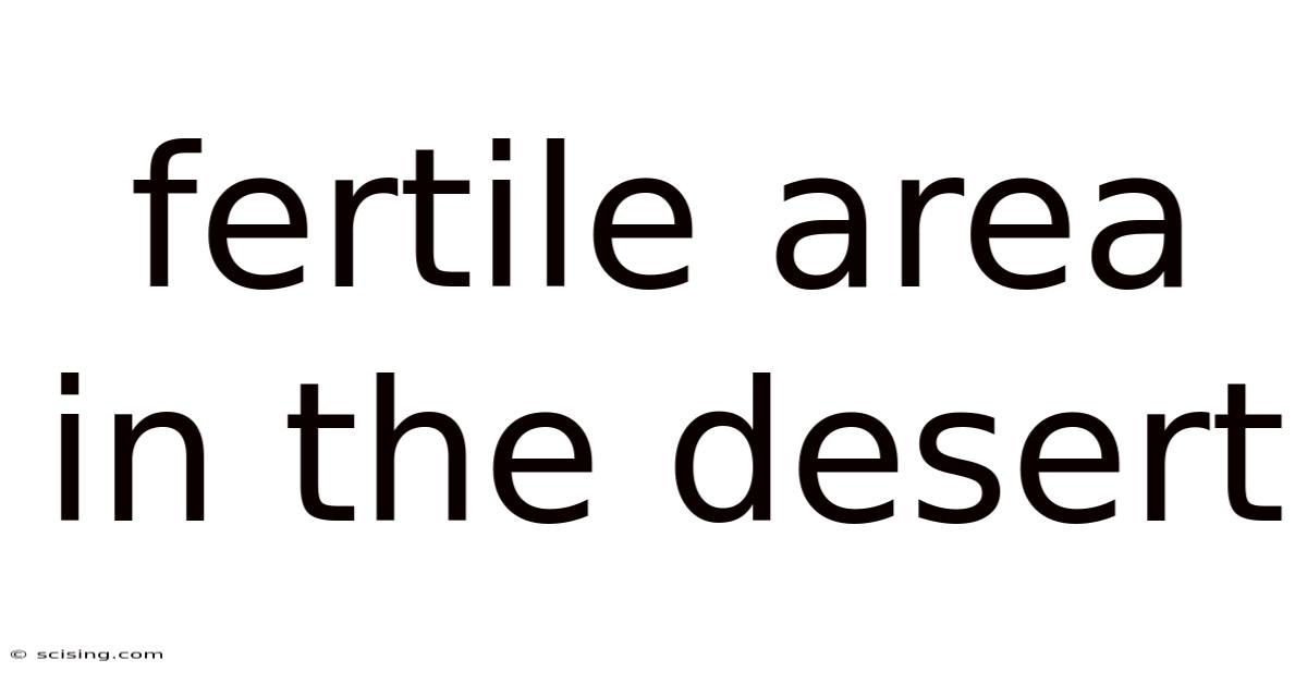 Fertile Area In The Desert