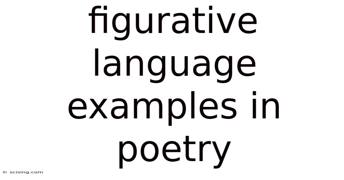 Figurative Language Examples In Poetry