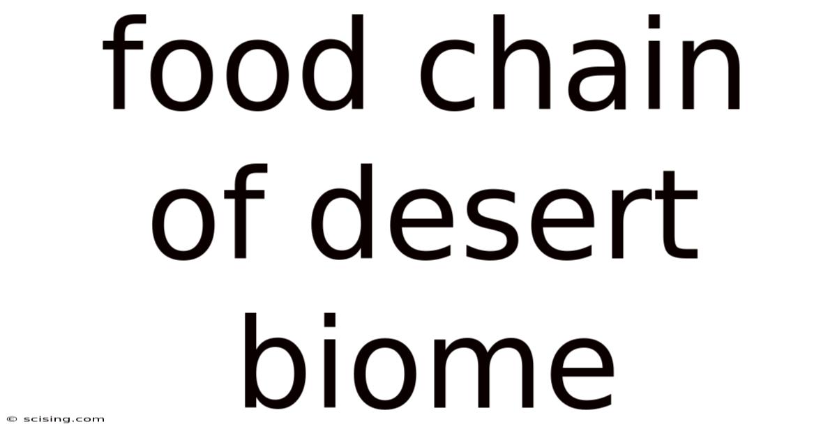 Food Chain Of Desert Biome