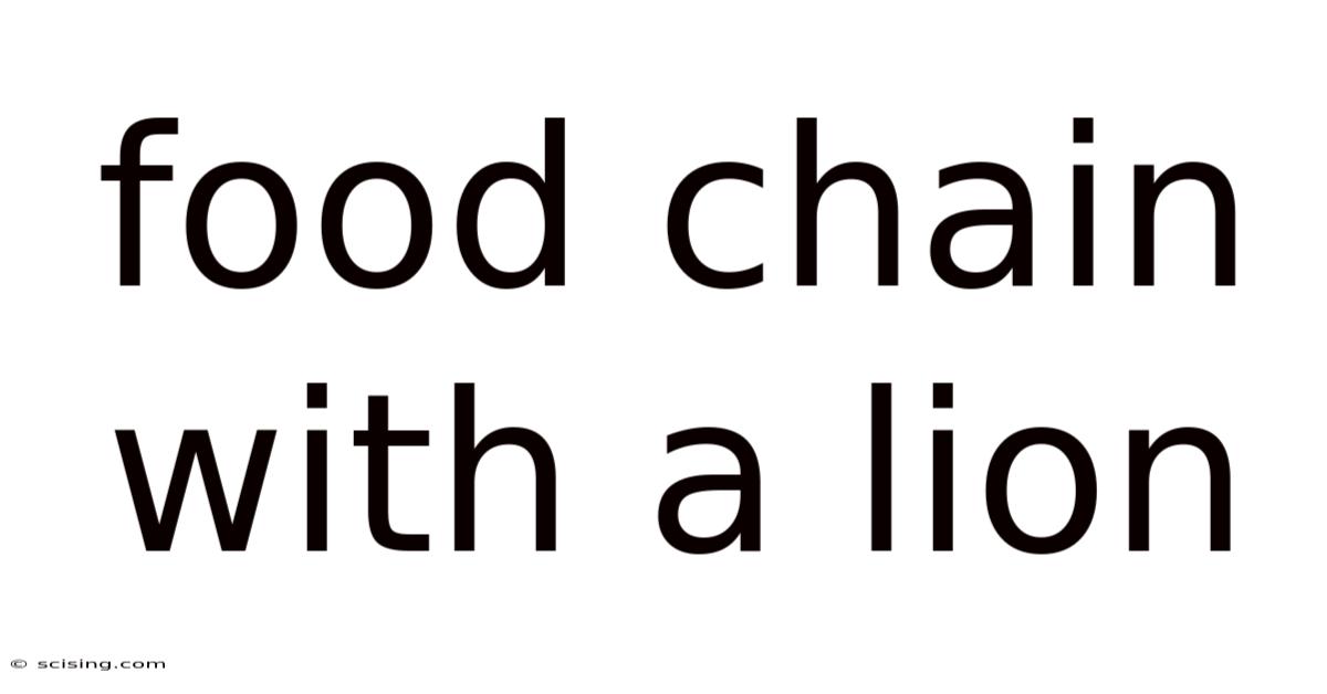 Food Chain With A Lion