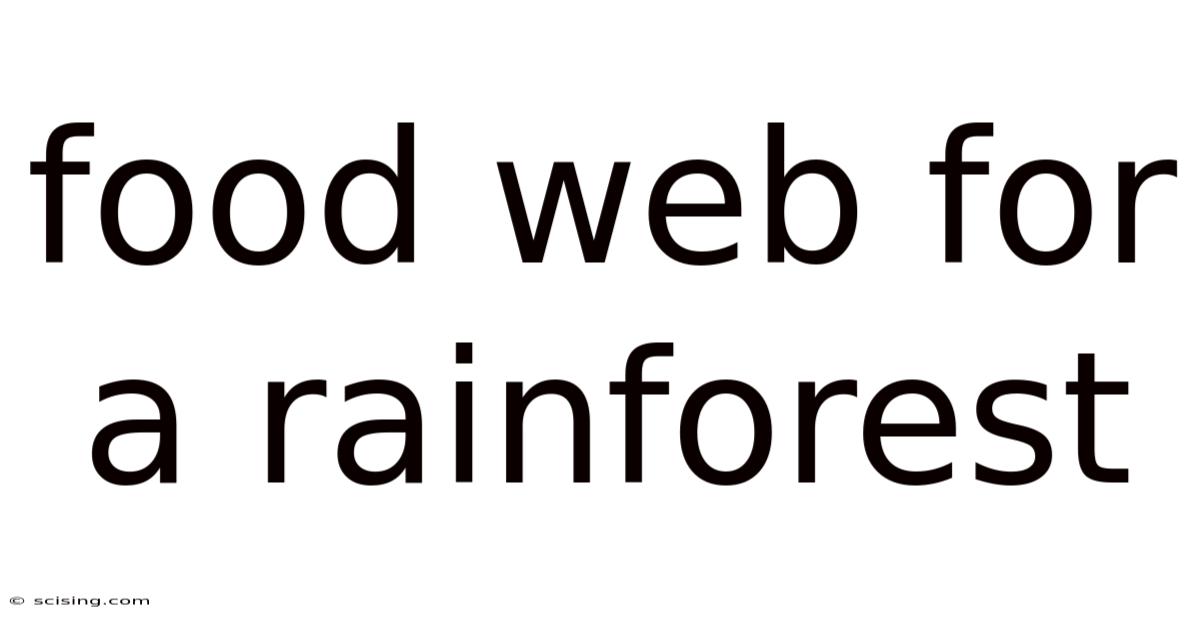 Food Web For A Rainforest