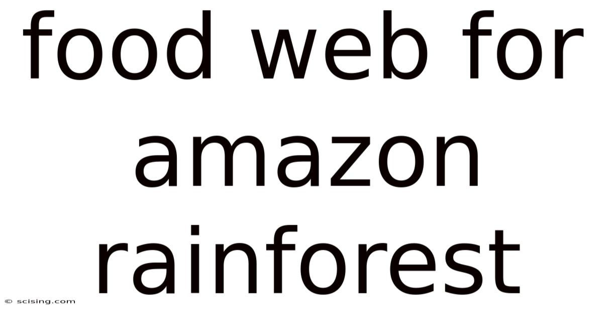 Food Web For Amazon Rainforest
