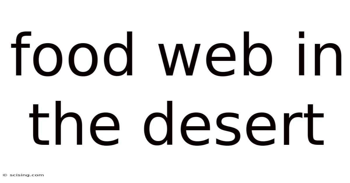 Food Web In The Desert