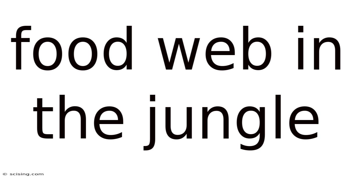 Food Web In The Jungle