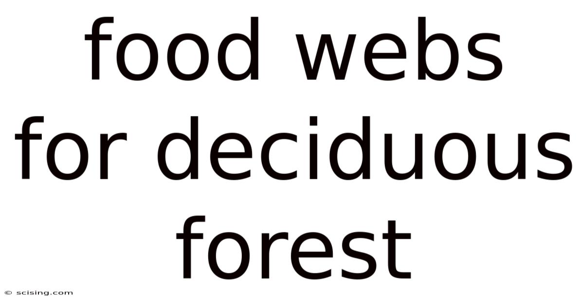 Food Webs For Deciduous Forest