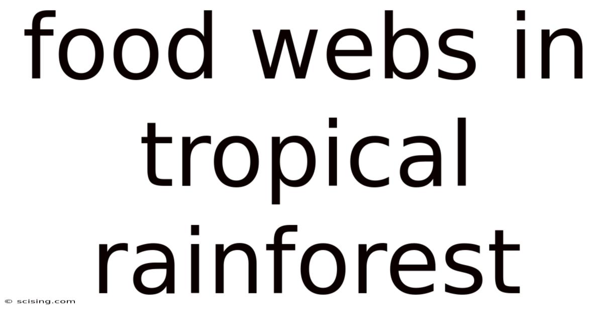 Food Webs In Tropical Rainforest