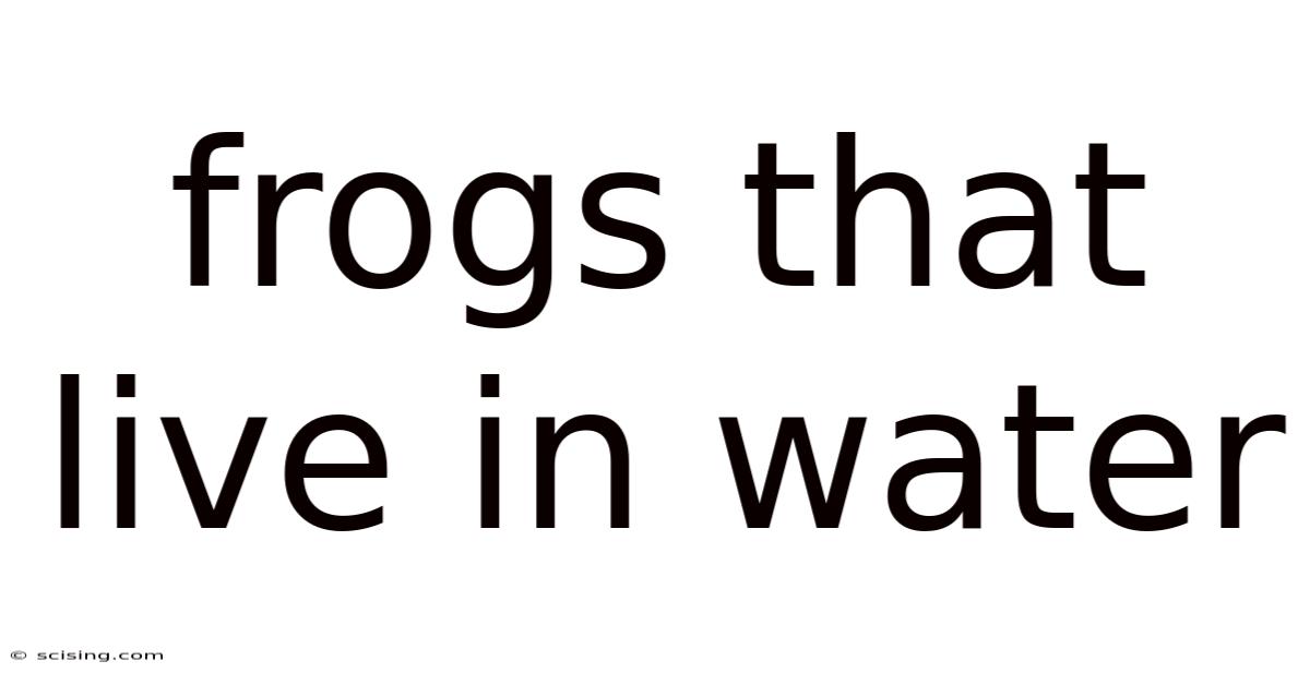 Frogs That Live In Water