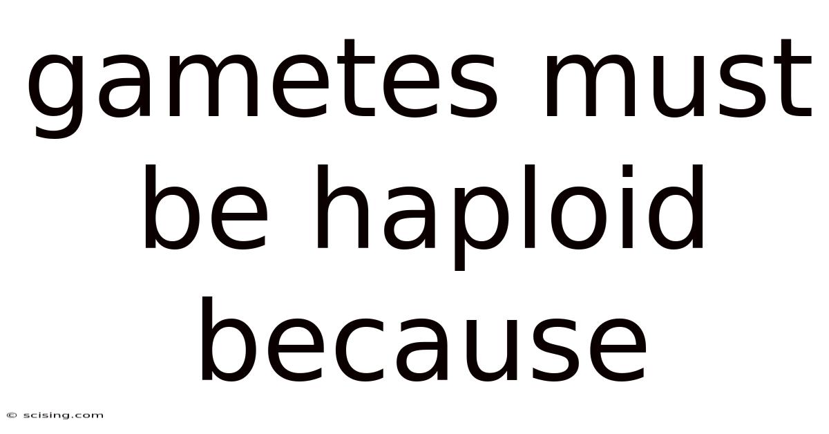 Gametes Must Be Haploid Because