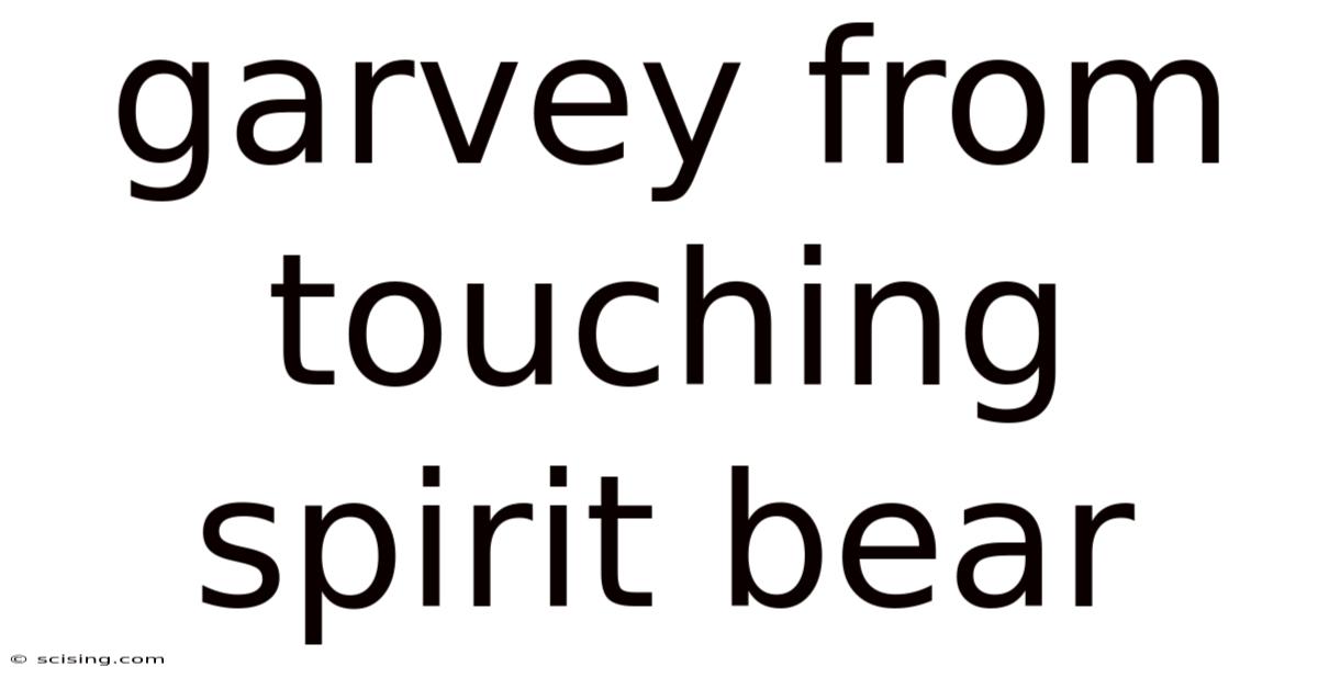 Garvey From Touching Spirit Bear