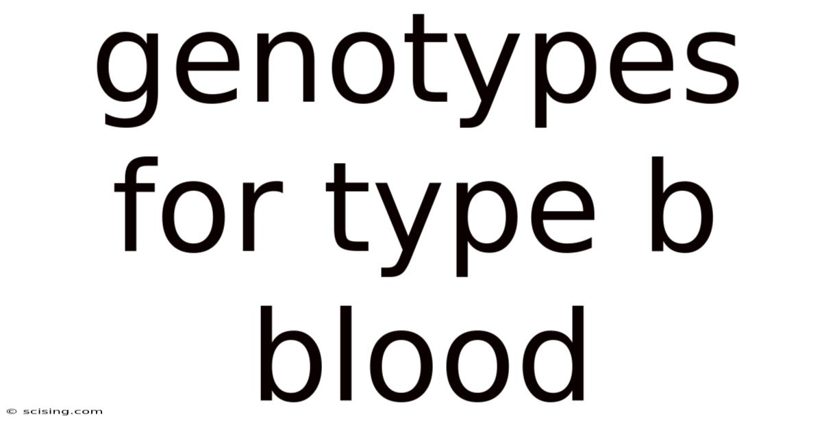 Genotypes For Type B Blood