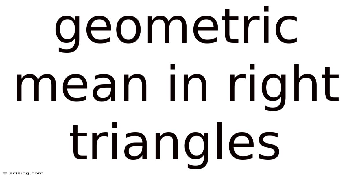 Geometric Mean In Right Triangles