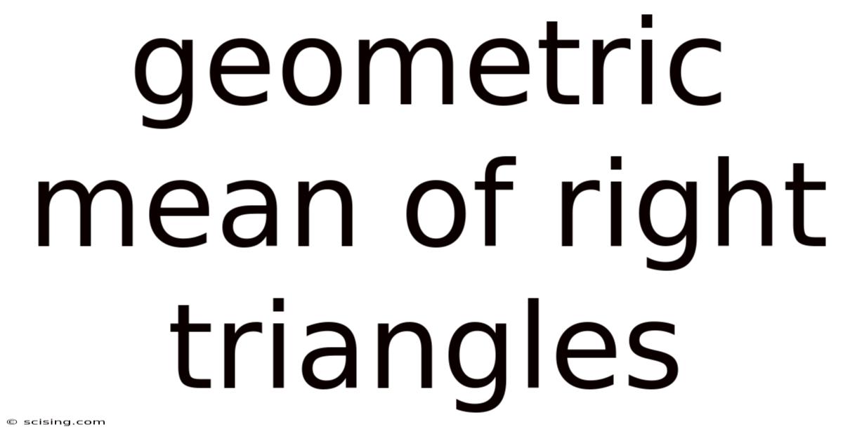 Geometric Mean Of Right Triangles