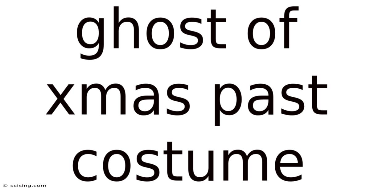 Ghost Of Xmas Past Costume