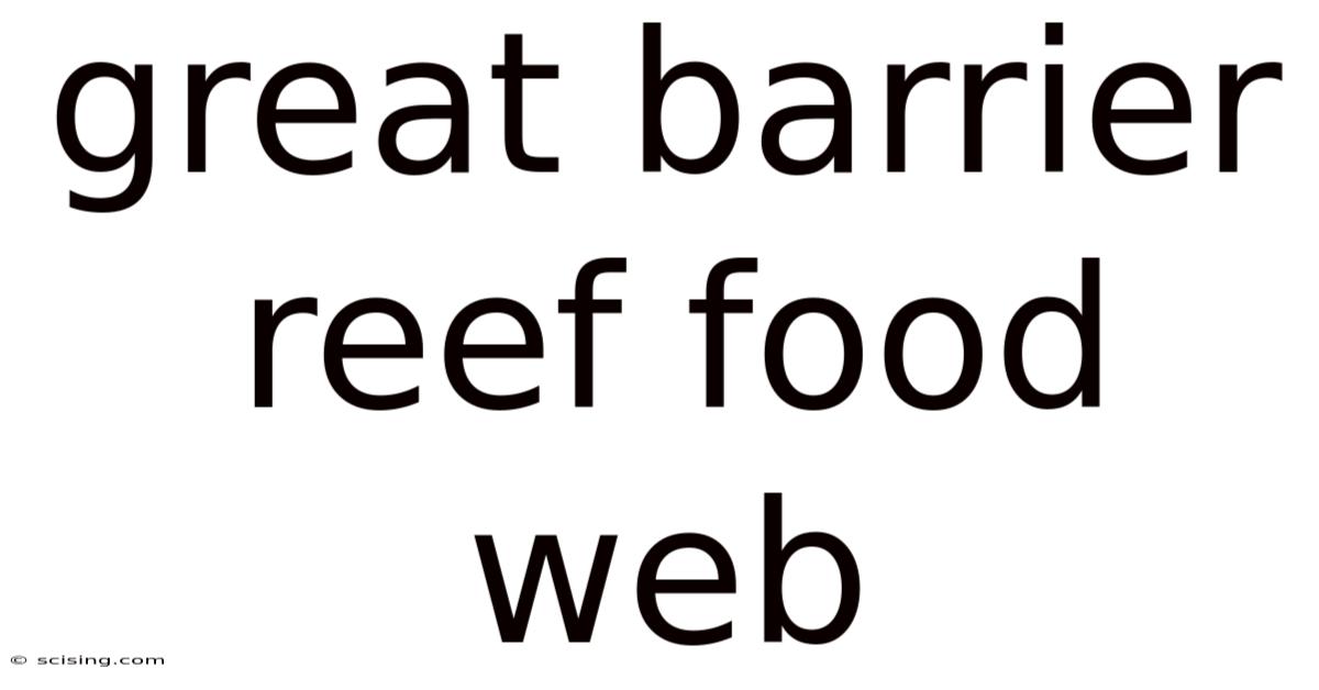 Great Barrier Reef Food Web