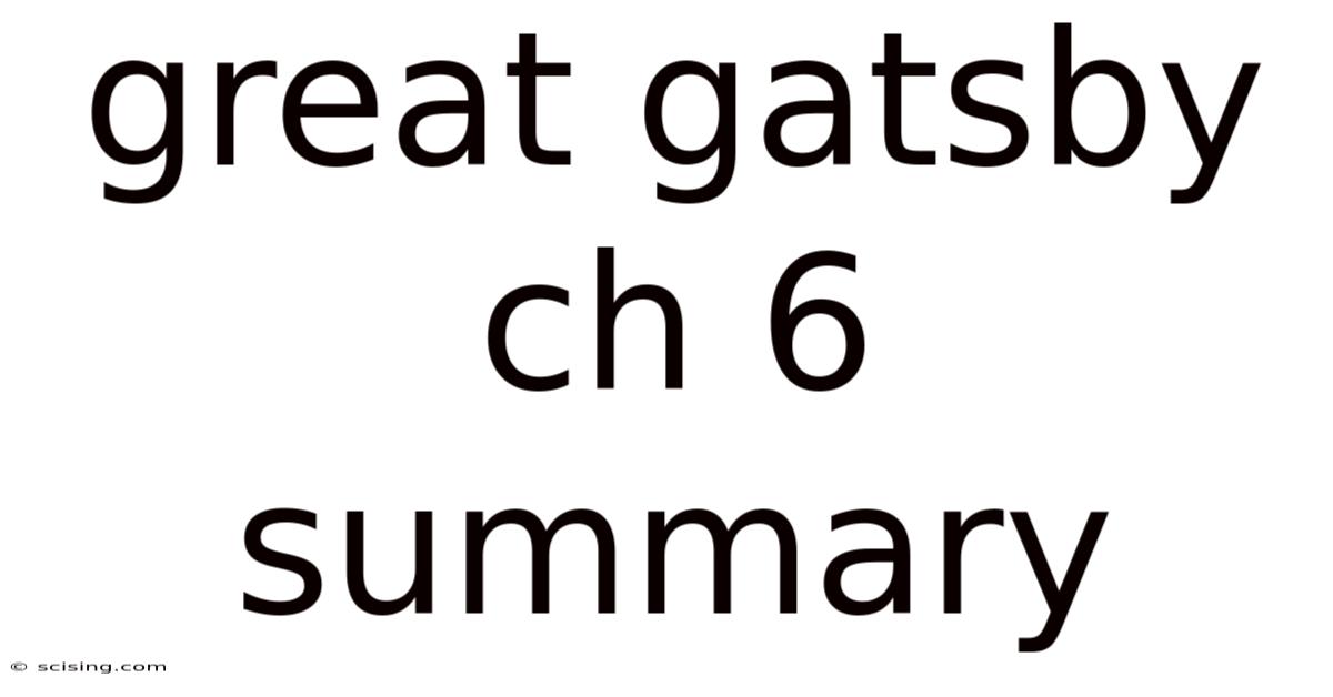 Great Gatsby Ch 6 Summary