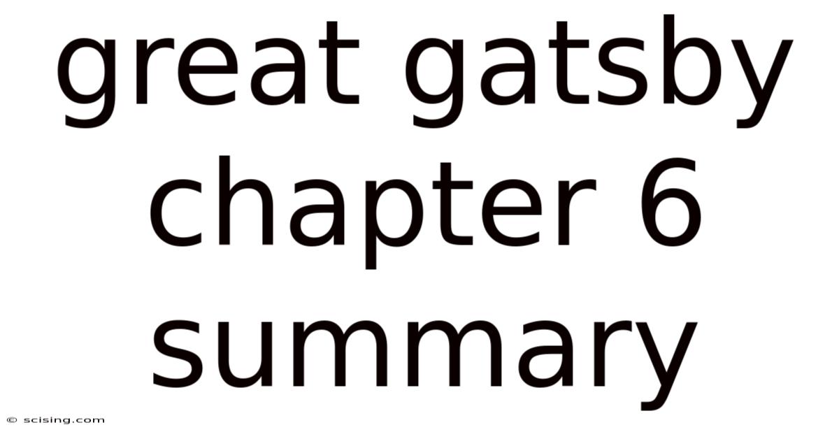 Great Gatsby Chapter 6 Summary