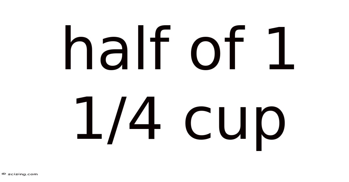 Half Of 1 1/4 Cup