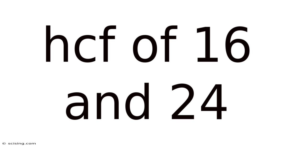Hcf Of 16 And 24