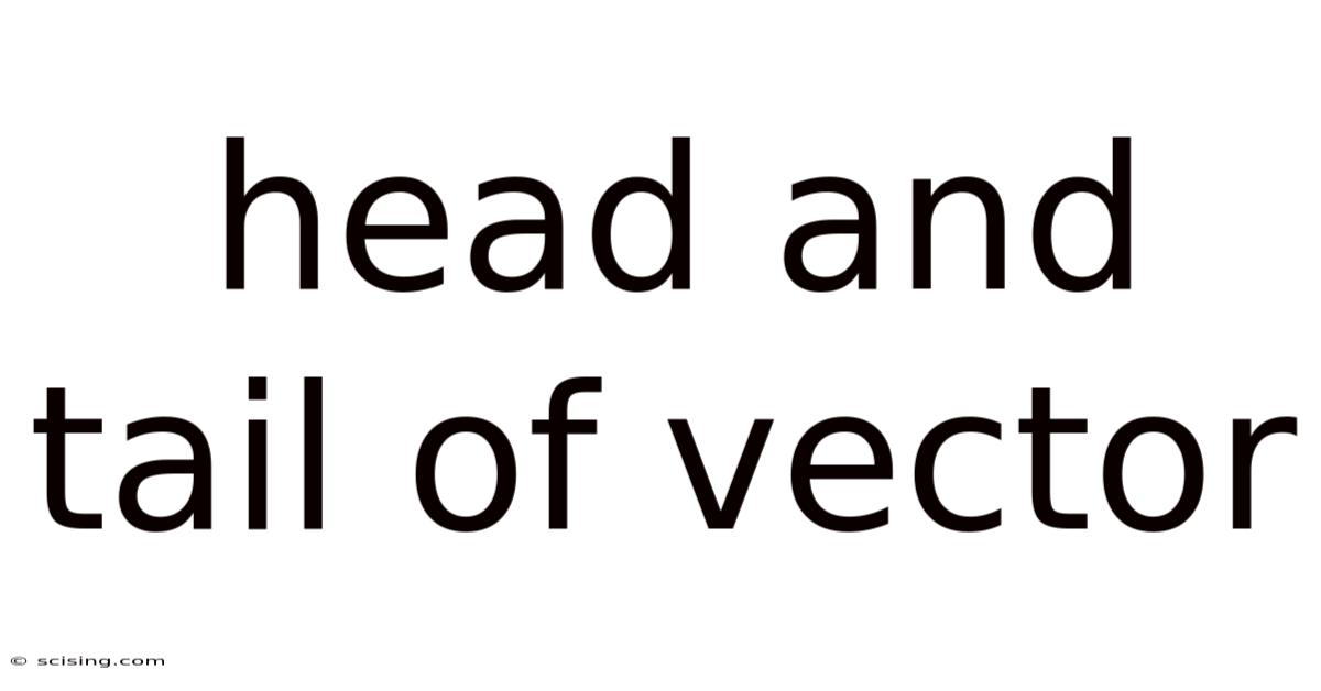 Head And Tail Of Vector