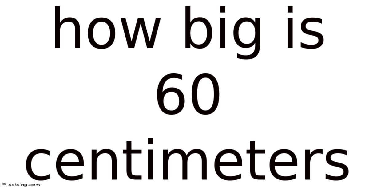 60 Cm Example How Big Is 60 Centimeters
