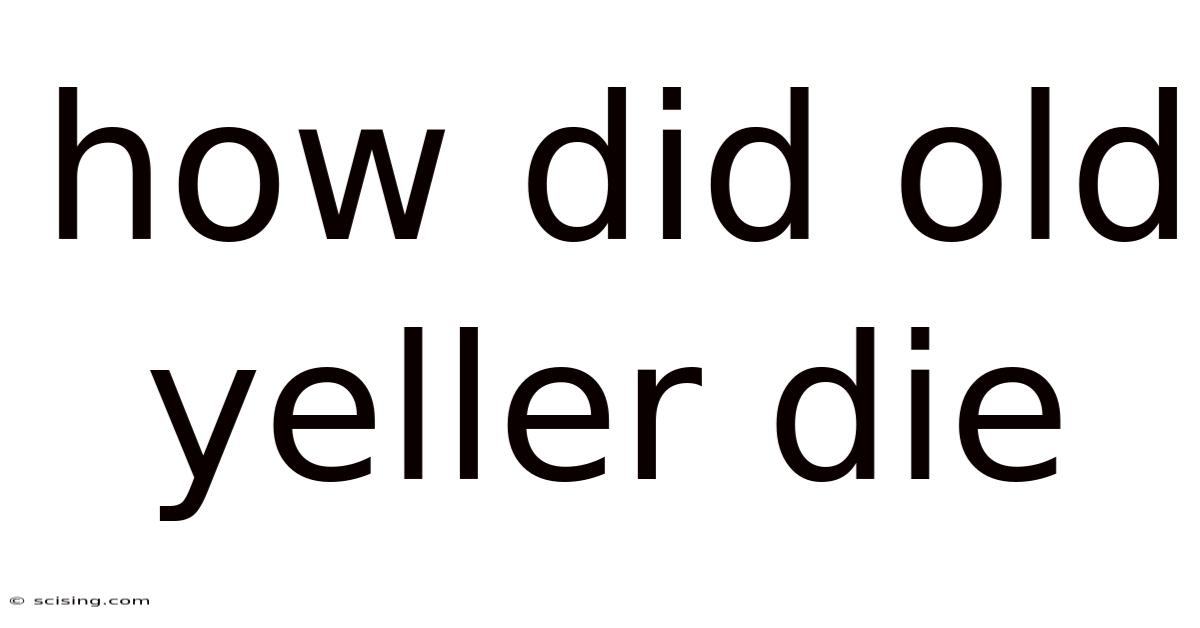 How Did Old Yeller Die