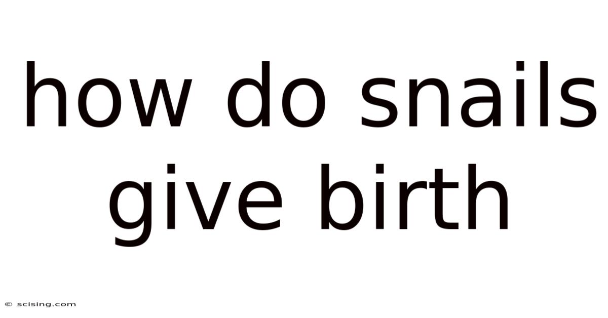 How Do Snails Give Birth