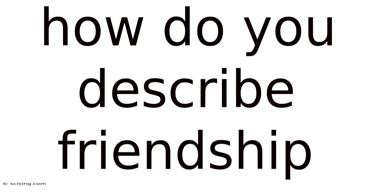 How Do You Describe Friendship