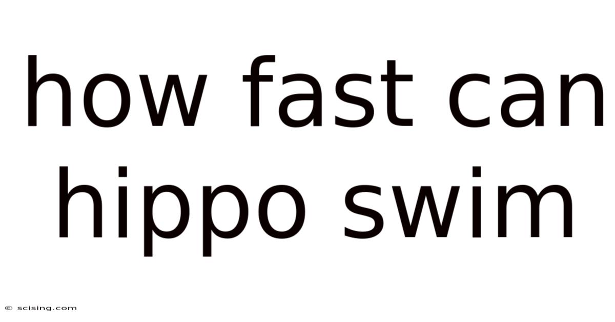 How Fast Can Hippo Swim