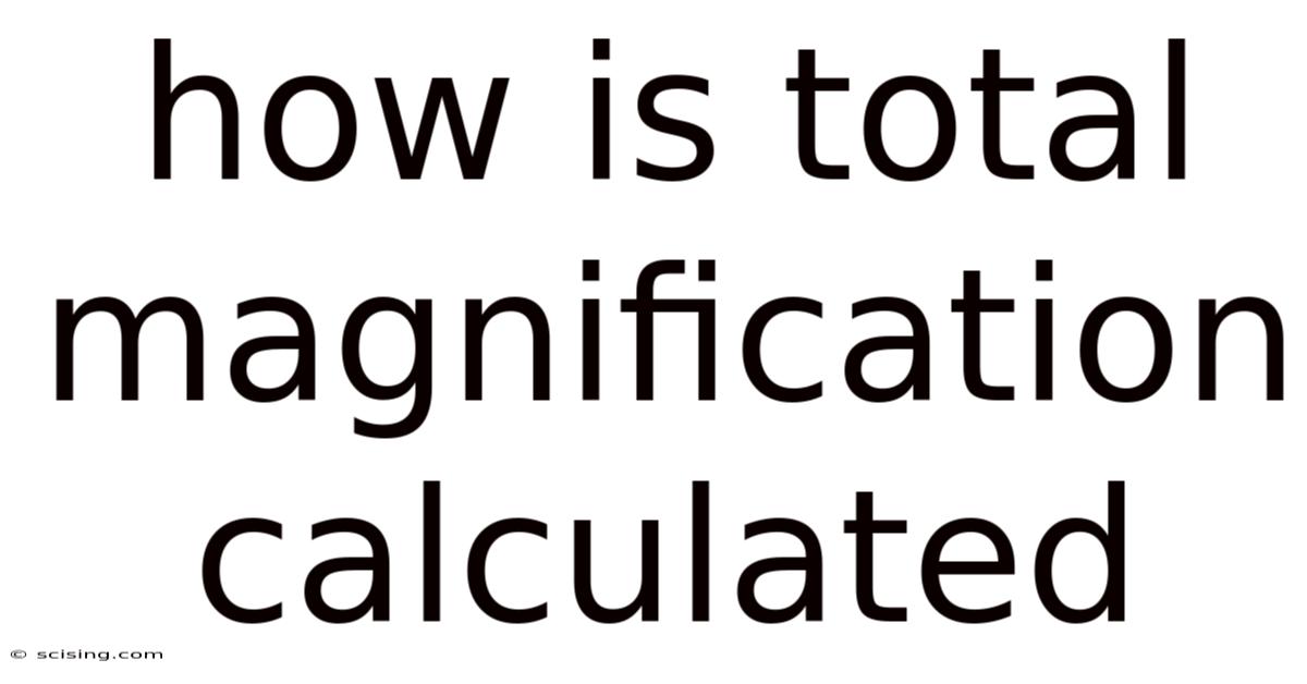 How Is Total Magnification Calculated