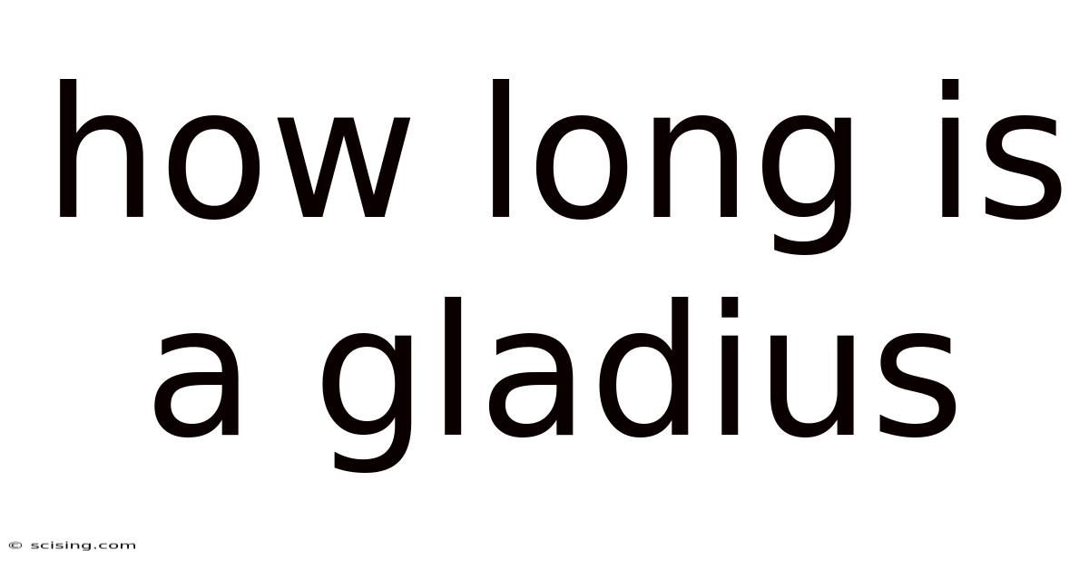 How Long Is A Gladius