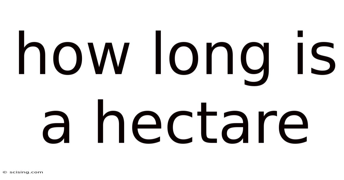 How Long Is A Hectare