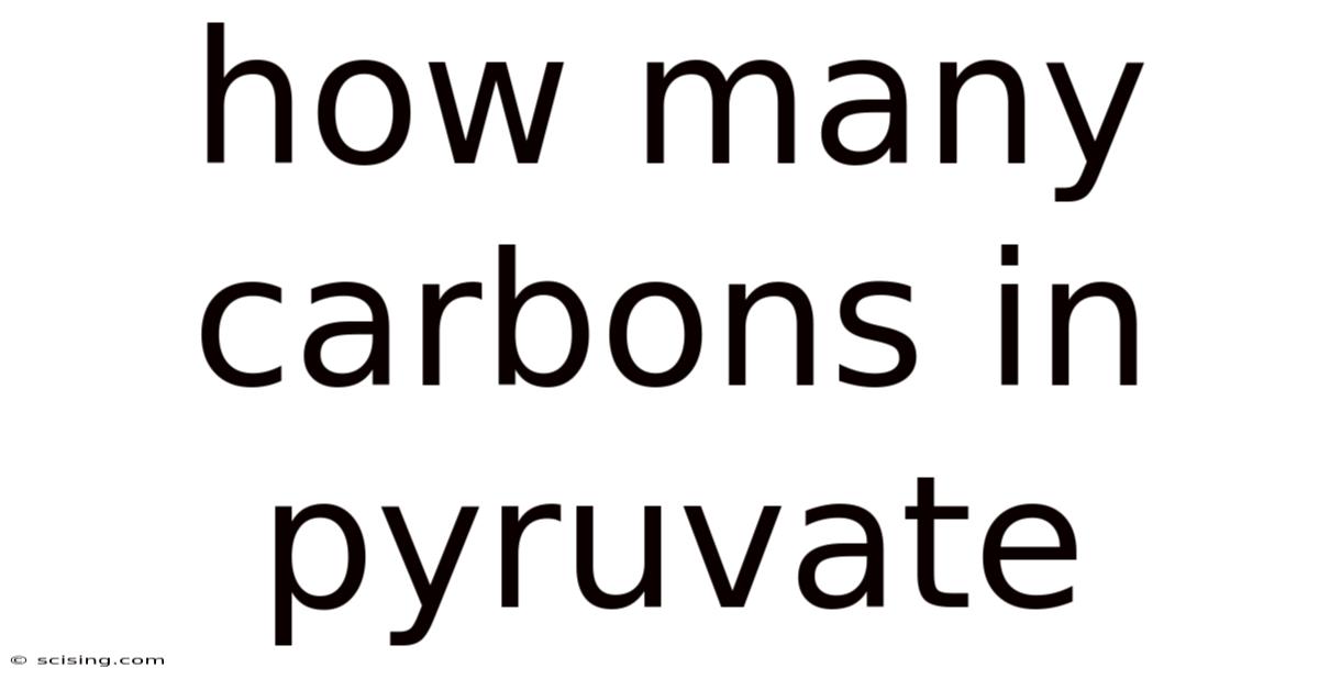 How Many Carbons In Pyruvate