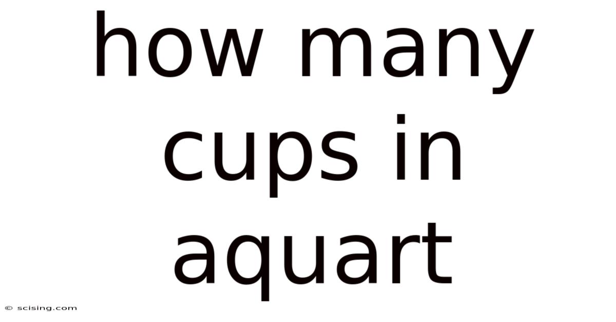 How Many Cups In Aquart