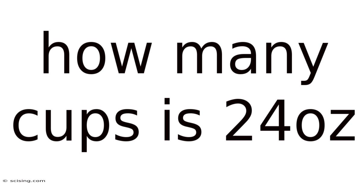 How Many Cups Is 24oz