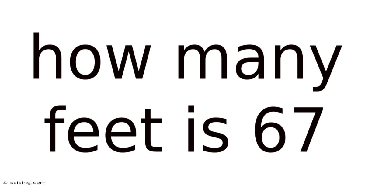 How Many Feet Is 67