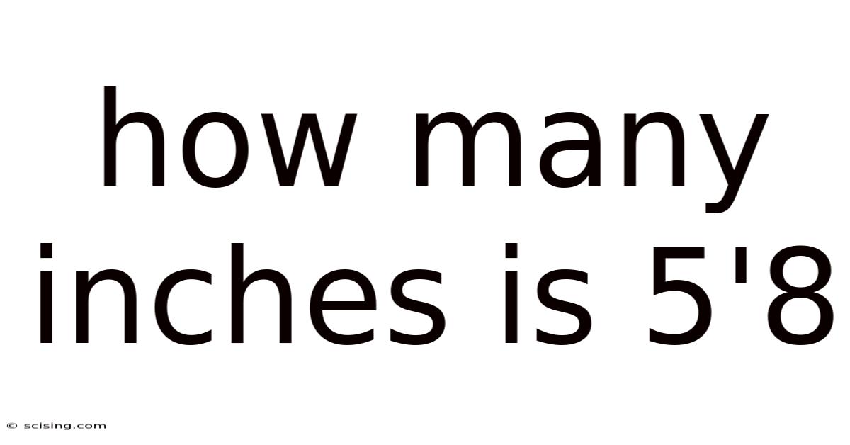 How Many Inches Is 5 8 how-many-inches-is-5-8