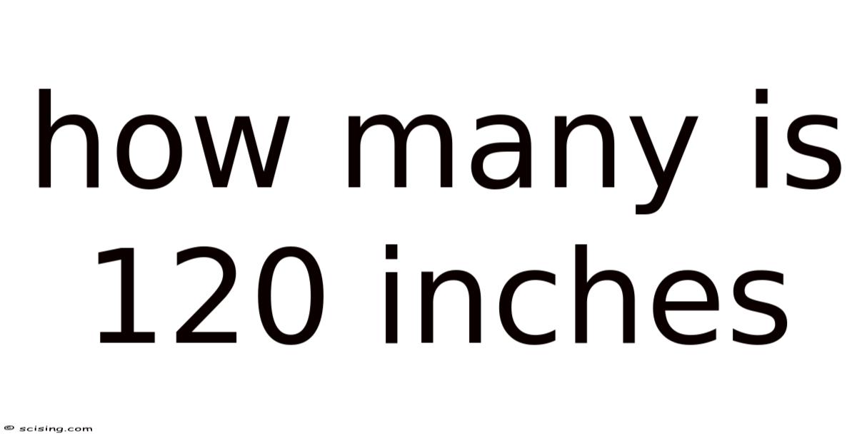 120 Inches Example How Many Is 120 Inches
