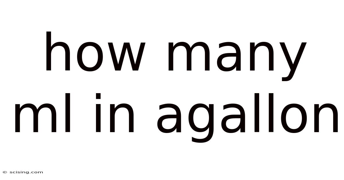 How Many Ml In Agallon