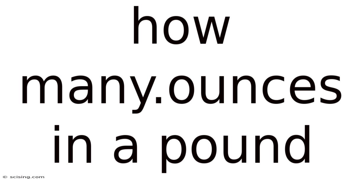 How Many.ounces In A Pound
