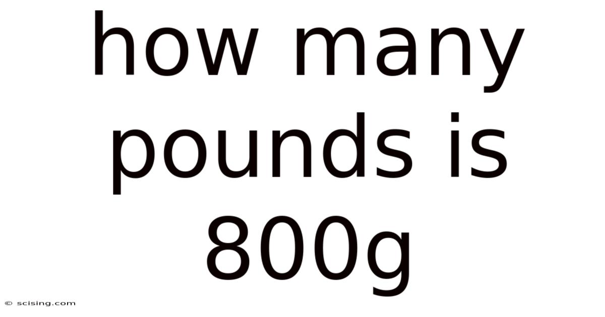 How Many Pounds Is 800g