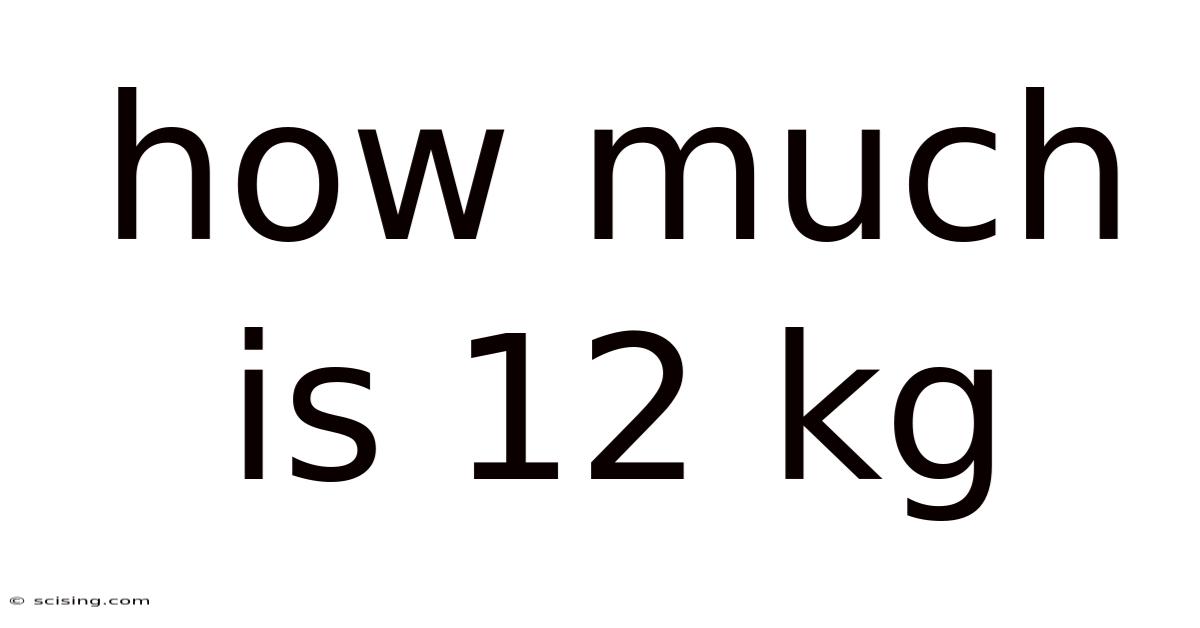 How Much Is 12 Kg