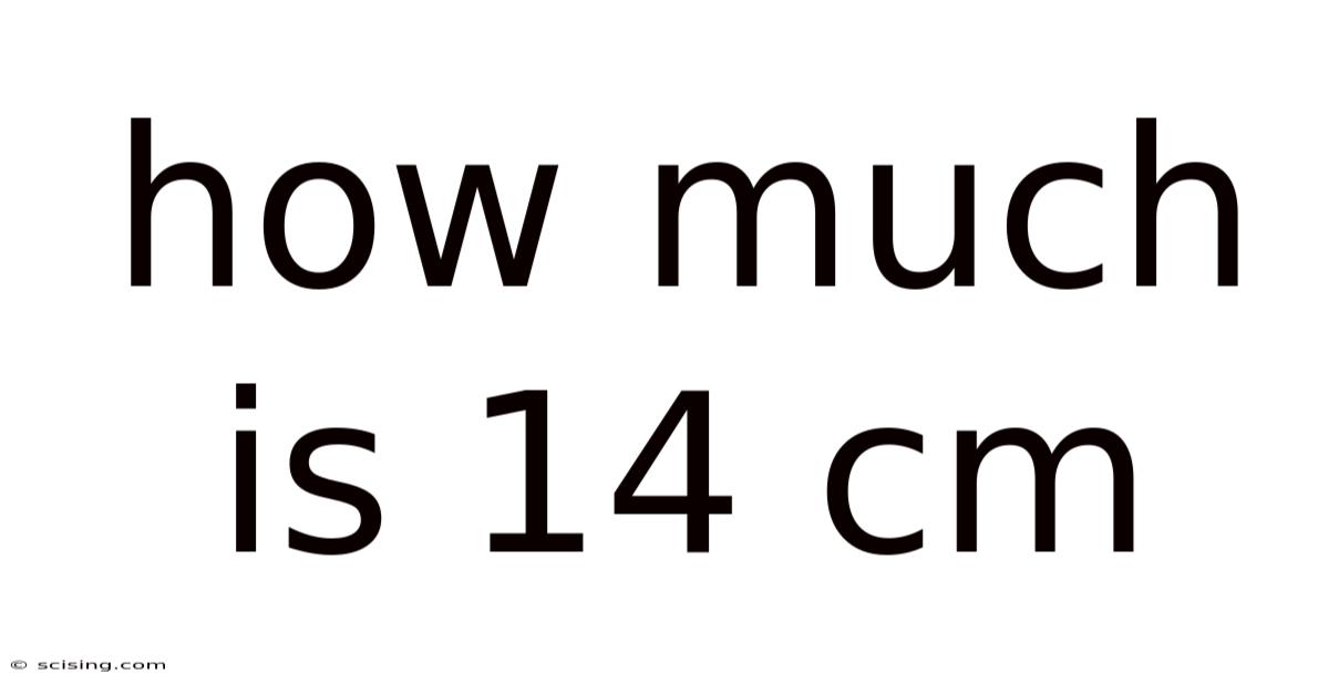 How Much Is 14 Cm