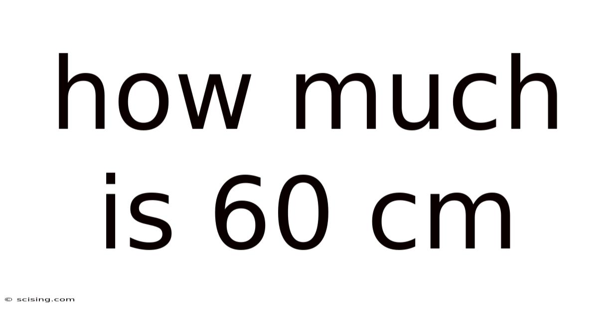 How Much Is 60 Cm