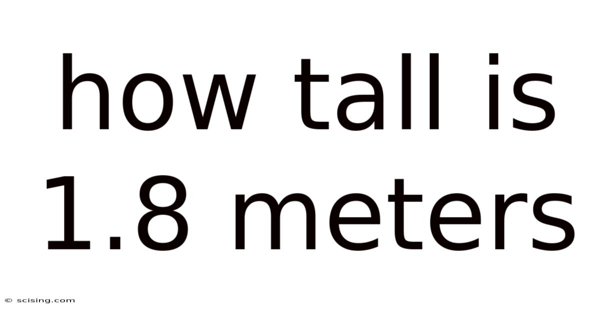 How Tall Is 1.8 Meters